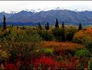 autunno nella tundra