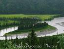 Tanana river